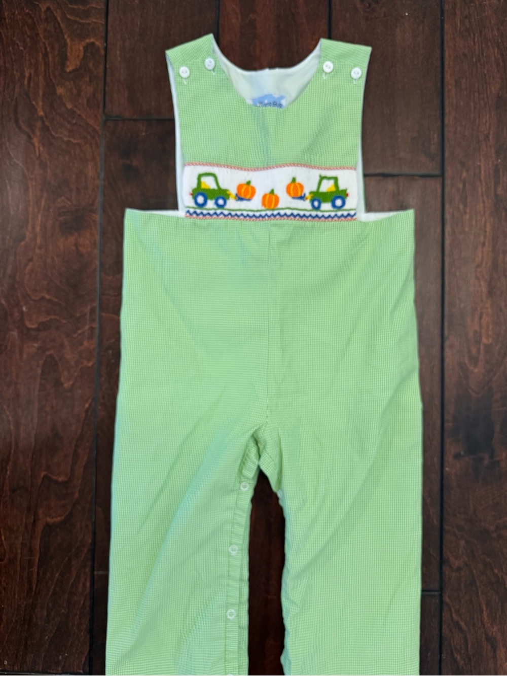 The Smocking Bug Smocked Pumpkin Fall Longall
